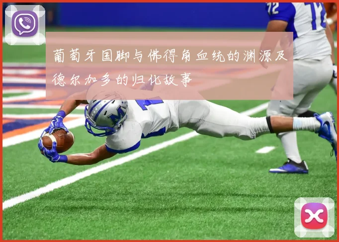 葡萄牙国脚与佛得角血统的渊源及德尔加多的归化故事